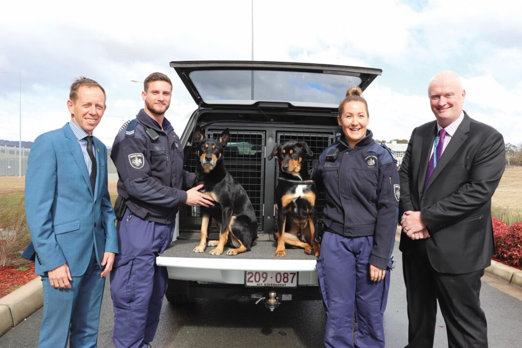 two police officers with two police dogs in a car