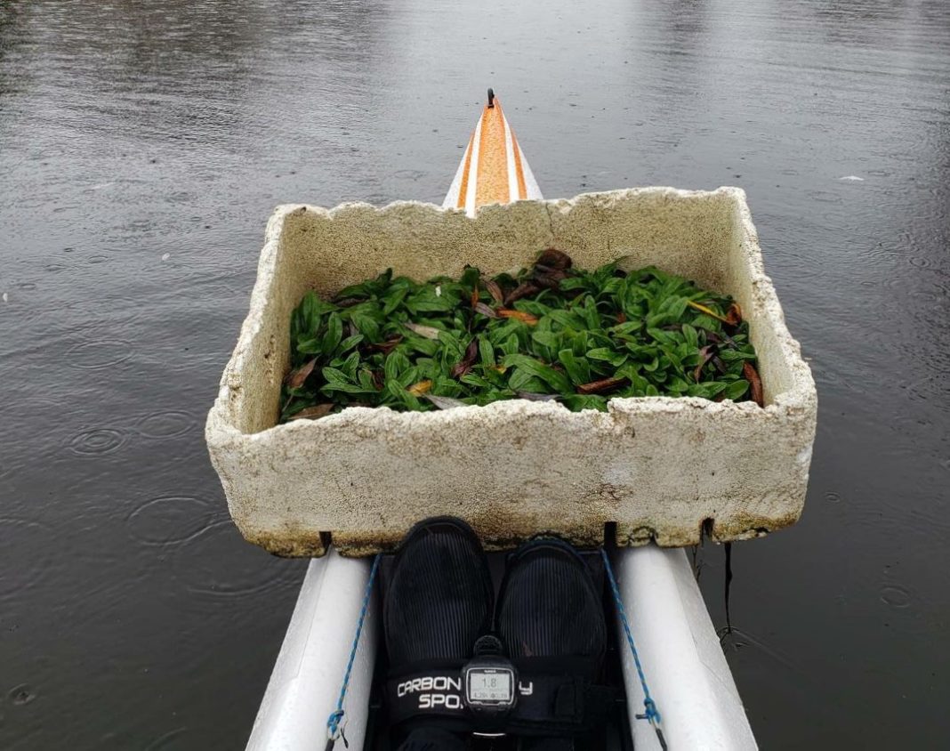 plastic waste on kayak
