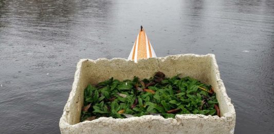 plastic waste on kayak