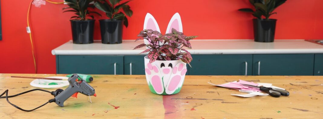 plant in a pot designed like a bunny rabbit