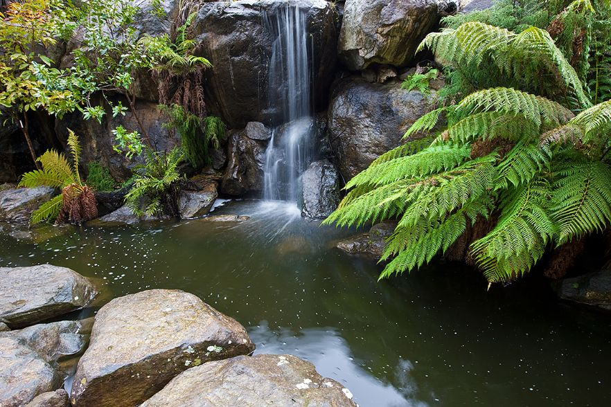 Tranquil waterfall in the rainforest garden at the Australian National Botanic Gardens