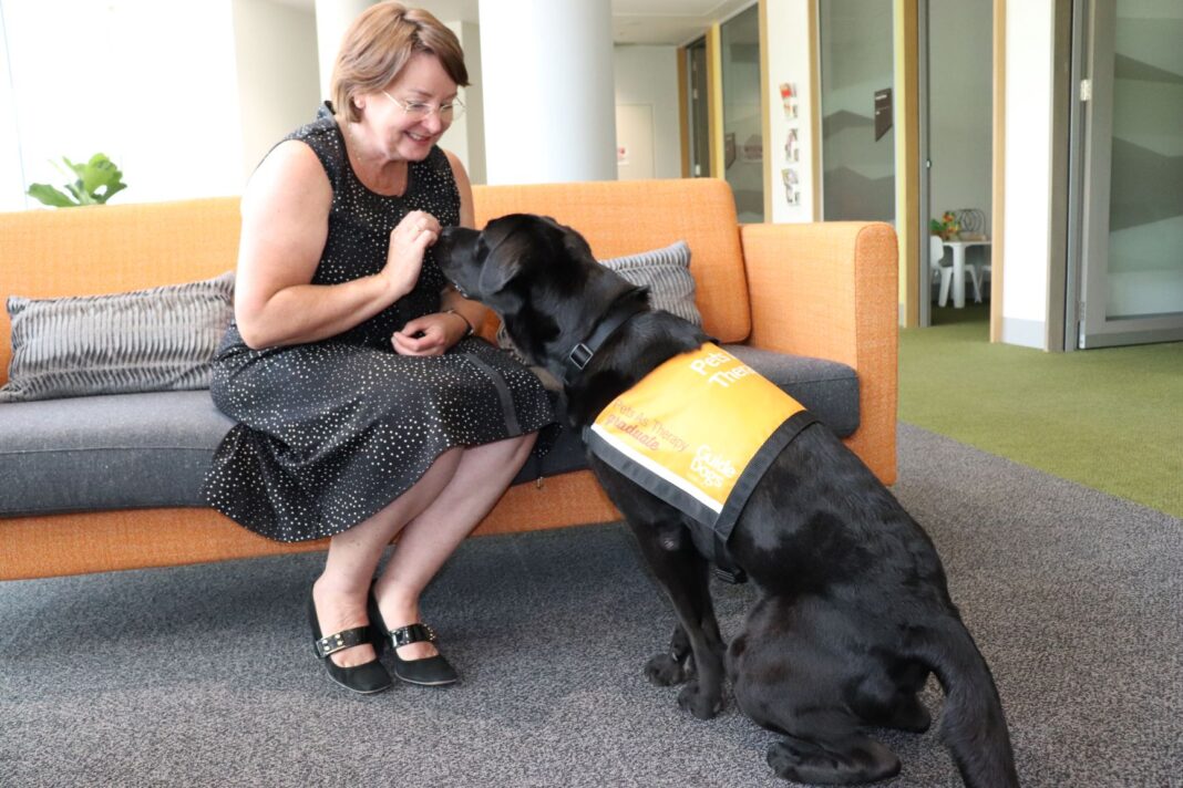 Chief Magistrate and therapy dog Quota