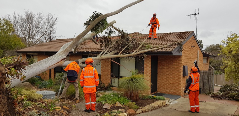 Damaging winds fallen tree ACT