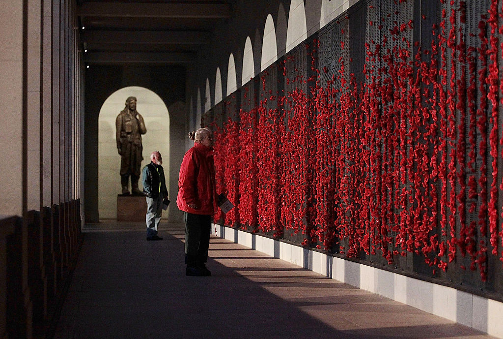 woman looking at wall of poppy flowers
