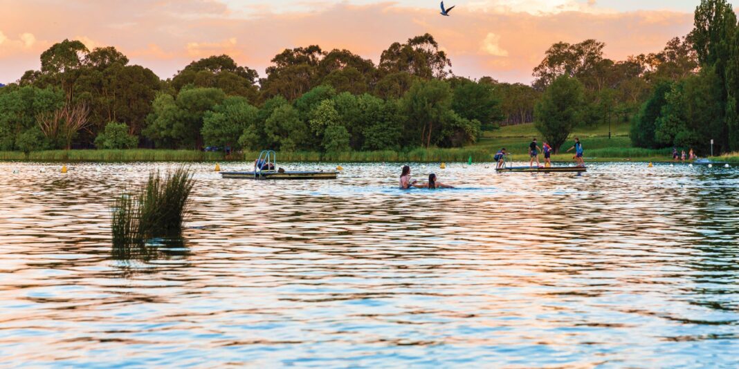 Swimmers escape the heat with an evening dip at Yarralumla Bay