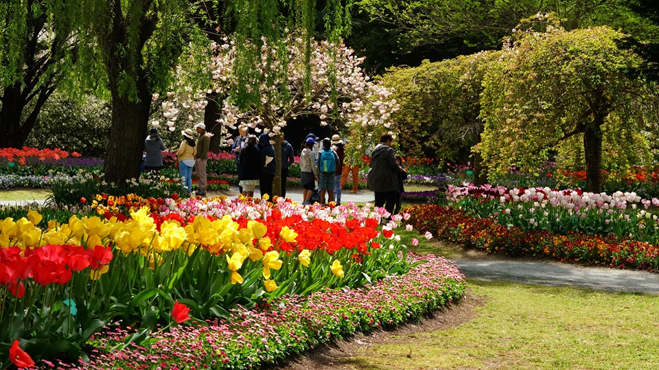 Tulip Top Gardens at Bywong