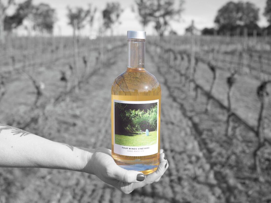 Bottle of Four Winds Vineyard gin held up in front of rows of vines