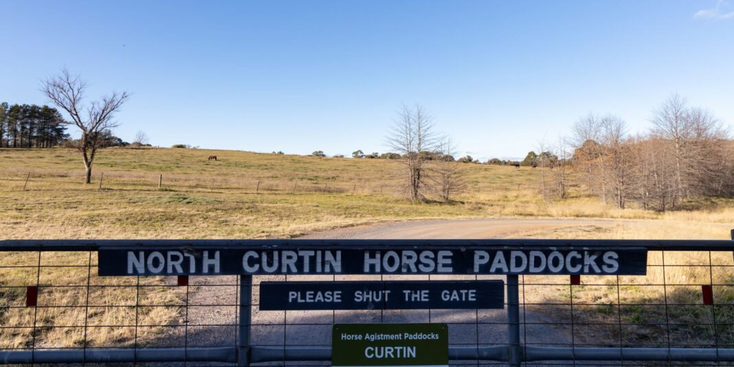 Sign on gate that reads 'North curtin horse paddocks', with green space in the background