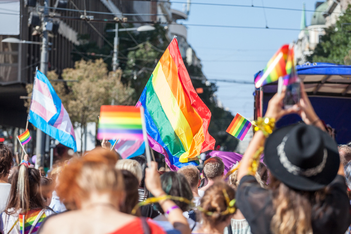 Picture of a crowd of people holding and raising rainbow flags, symbol of the homosexual struggle, during a gay demonstration. The rainbow flag, commonly known as the gay pride flag or LGBT pride flag, is a symbol of lesbian, gay, bisexual and transgender (LGBT) pride and LGBT social movements. Other older uses of rainbow flags include a symbol of peace.
