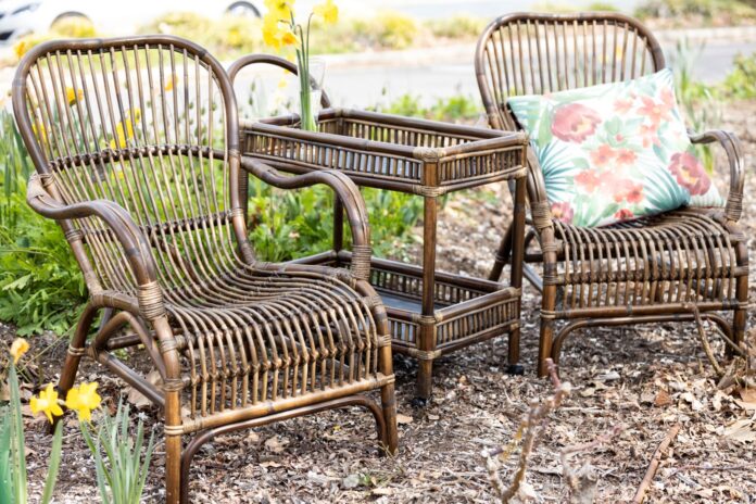 bower birds chairs