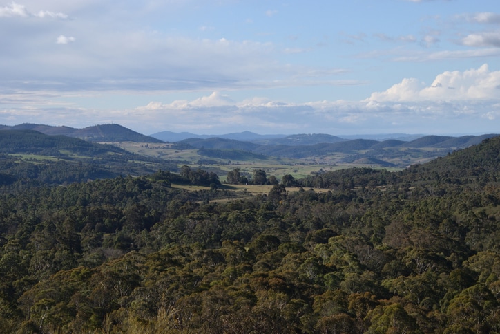 Australian bushland near Canberra with rollling hills