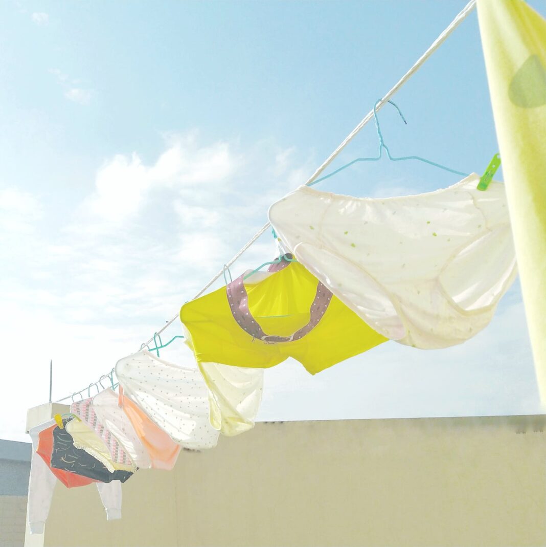 Several pairs of underwear pegged on a clothes line in the sunshine