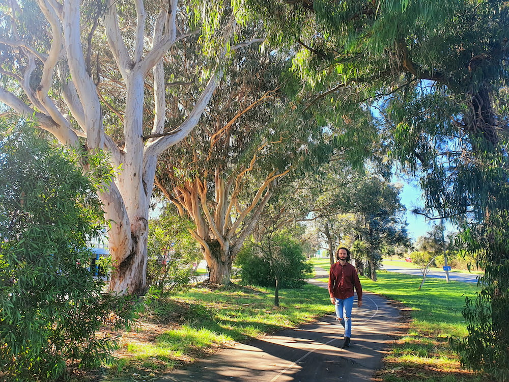 Almost half a million trees will be planted across Canberra over the next 25 years as the ACT Government plans to increase the urban forest canopy from 19% to 30%.