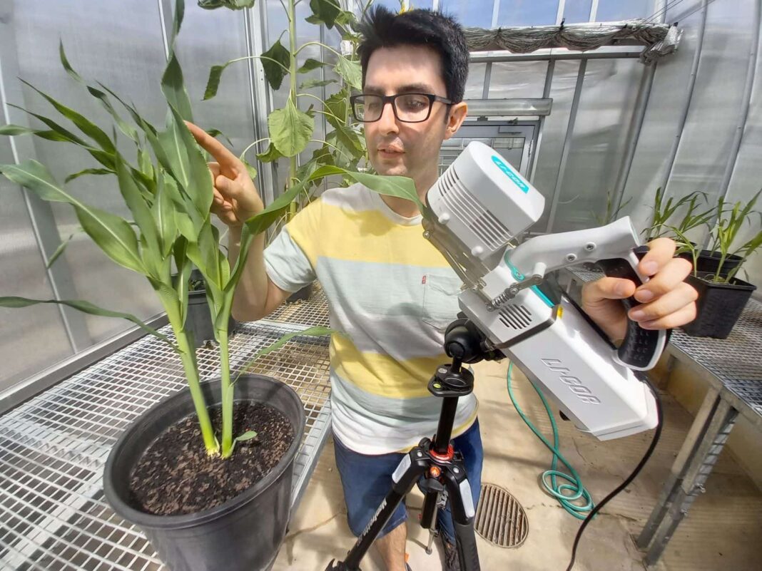 scientist with crops