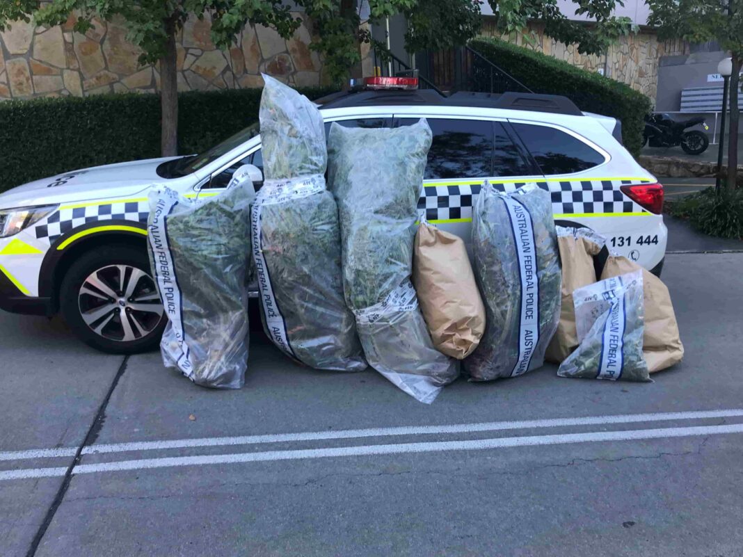Eight big bags of seized cannabis stacked beside a white ACT police station wagon