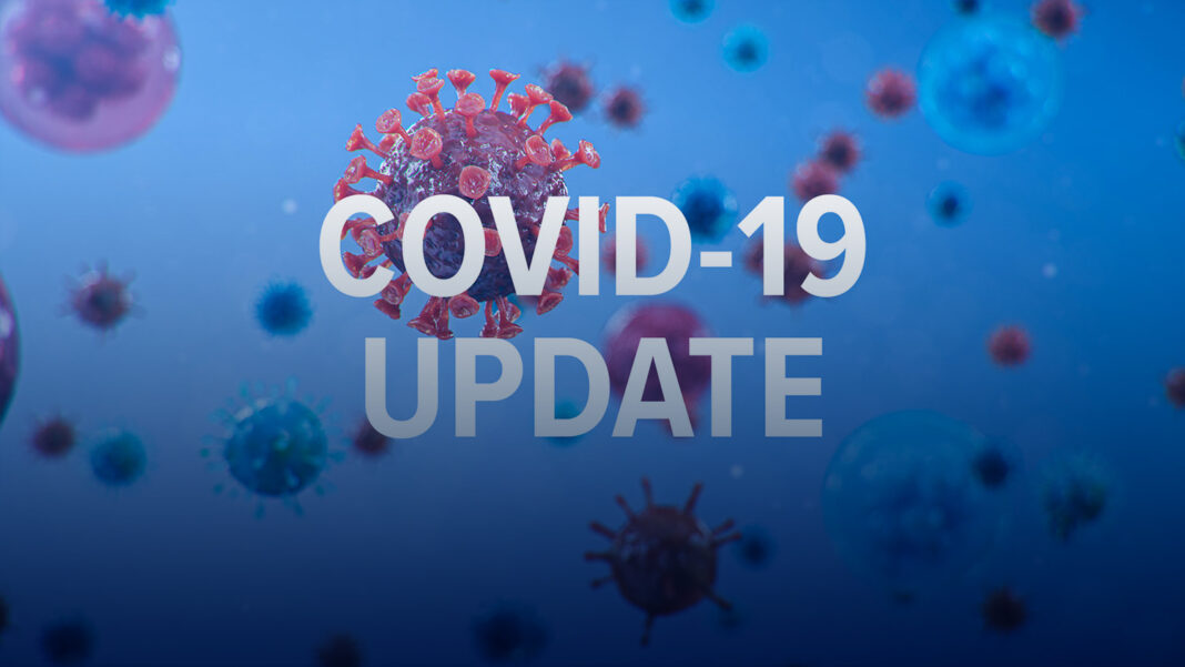 artist impression of red covid virus on blue background
