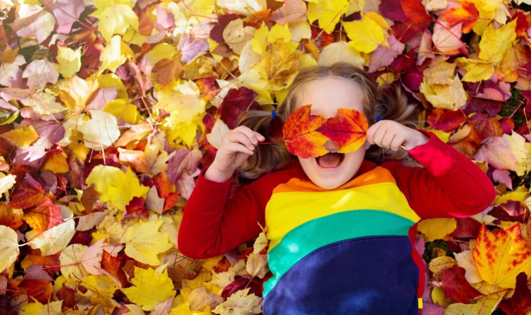 autumn school holiday activity guide