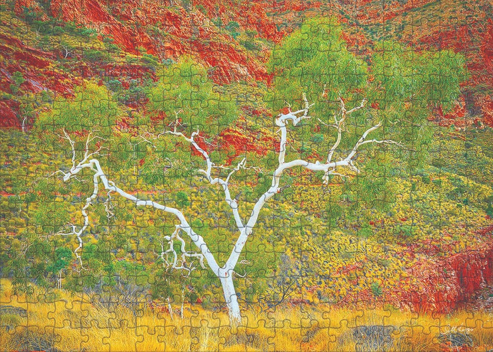 252-piece jigsaw puzzle of white gum tree with green leaves set against red and yellow landscape