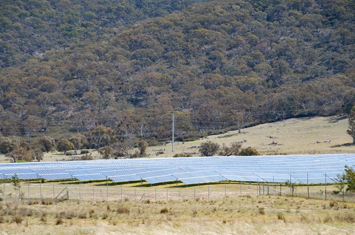 banks of solar panels at a solar farm in the hills near Canberra