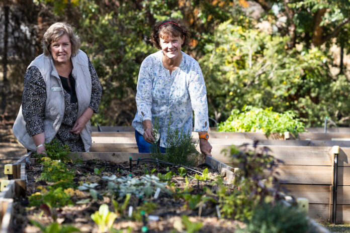 Two middle aged women tending to a garden bed in a productive community garden