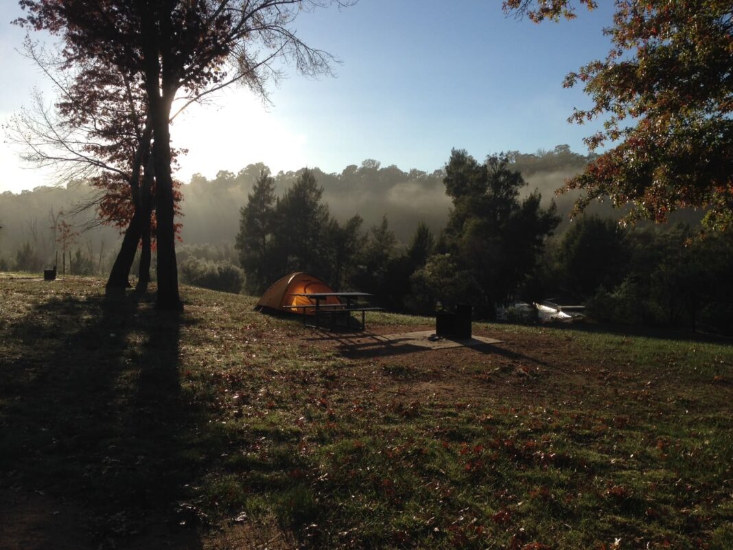 a lone orange tent pitched on a grassy slope at sunrise as fog rises among the surrounding trees
