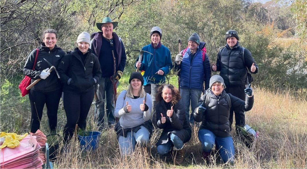 Last weekend, Rebecca Vassarotti helped the Southern ACT Catchment Group to improve habitat for birds and macropods affected by the 2020 bushfires in Namadgi National Park. Picture supplied.