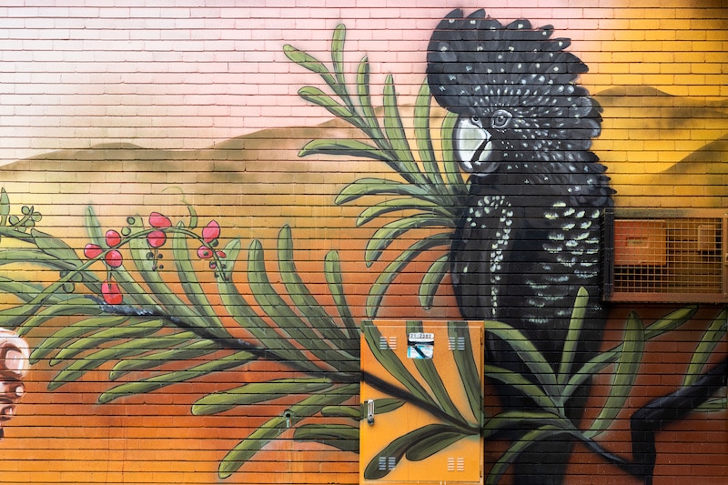Canberra street art