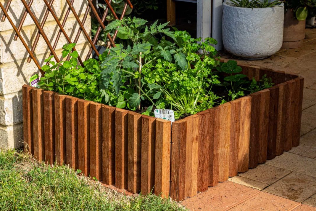 A DIY garden planter box made from timber garden edging