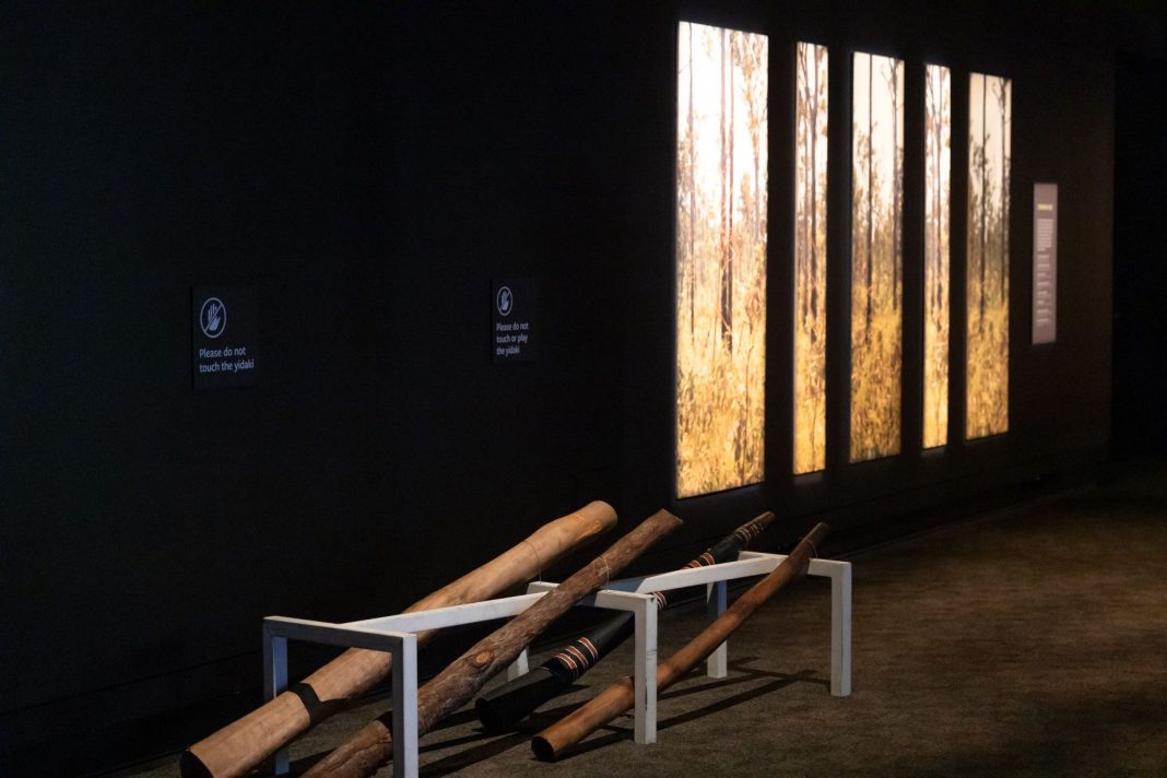 didgeridoo exhibition at a gallery