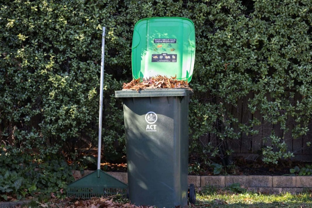 green waste wheelie bin filled with leaves in a verdant garden