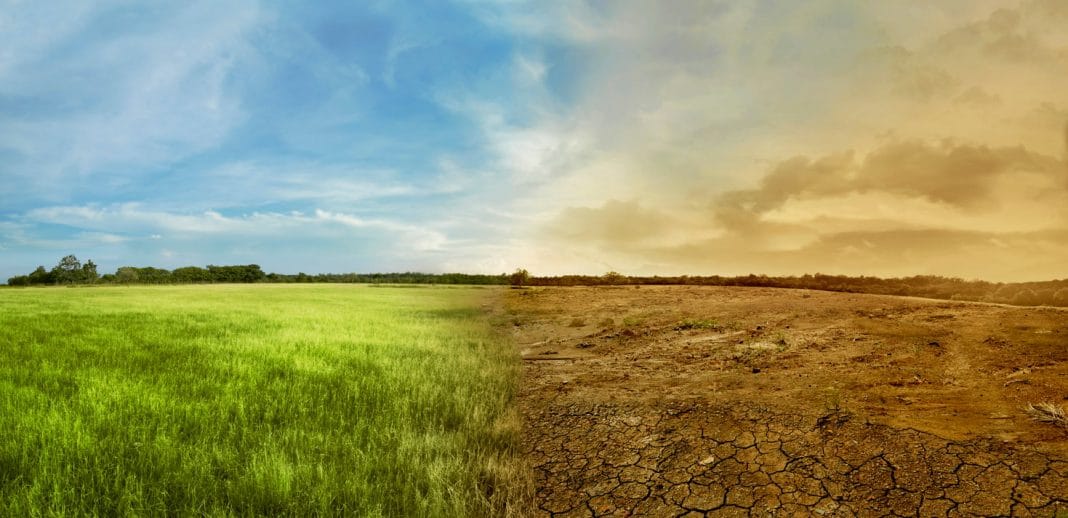 montage image of green meadow and blue sky on the left with parched earth and dusty sky on the right