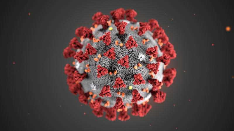 an illustration created at the CDC revealing ultrastructural morphology exhibited by the 2019 Novel Coronavirus