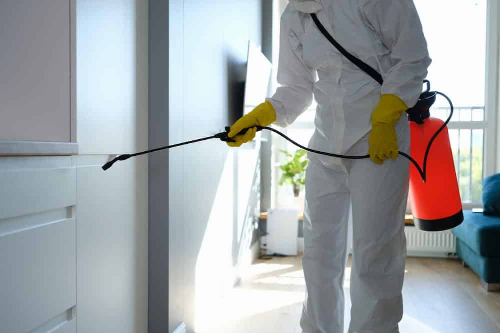 Find the best pest control services in Canberra | CW