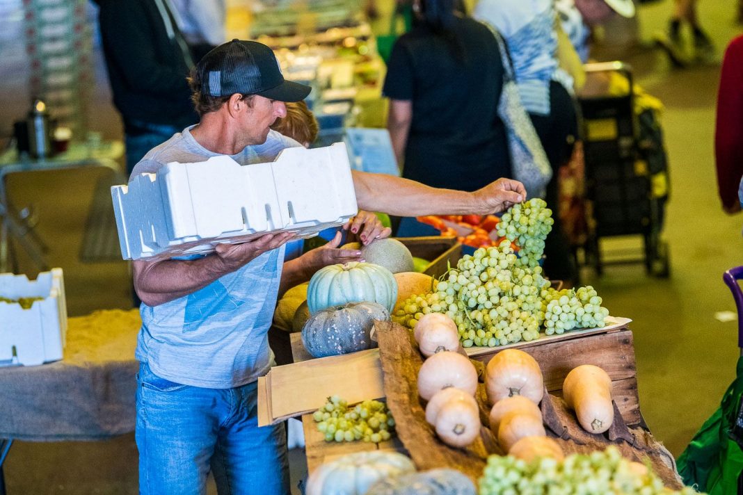 man filling a box with fresh fruit and vegetables at farmer's market