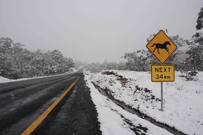 A horse warning sign is seen on the Snowy Mountains Highway, Kosciuszko National Park, NSW