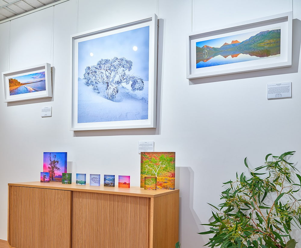 Canberra local businesses open Scott Leggo Gallery