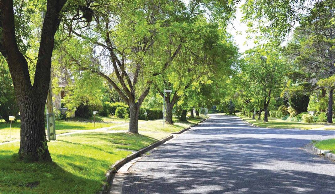 The ACT Government wants all Canberrans to enjoy the benefits of streets and parks lined with healthy trees. Photo: Kerrie Brewer