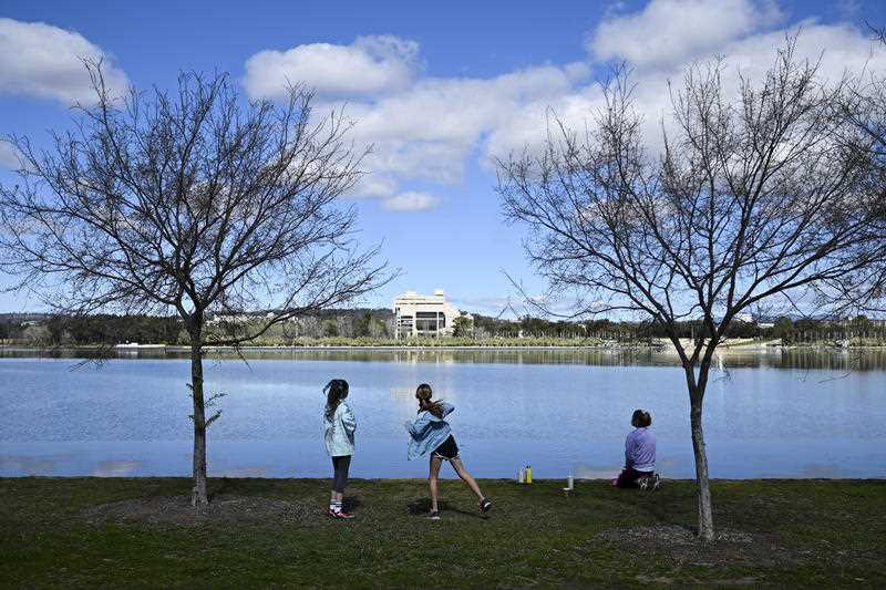three residents rare seen at the shore of Lake Burley Griffin in Canberra,