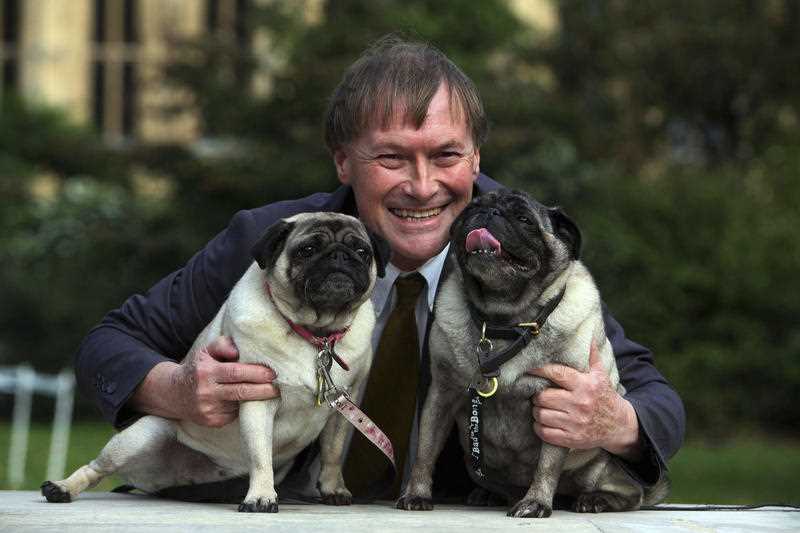 The late Conservative MP David Amess with his pugs, Lily and Boat at the Westminster Dog of the Year competition at Victoria Tower Gardens in London on Oct. 10, 2013