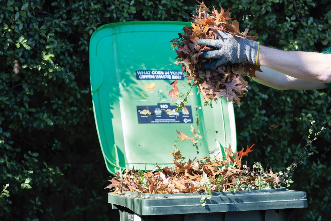 gloved hands are seen putting handful of autumn leaves into a green waste bin