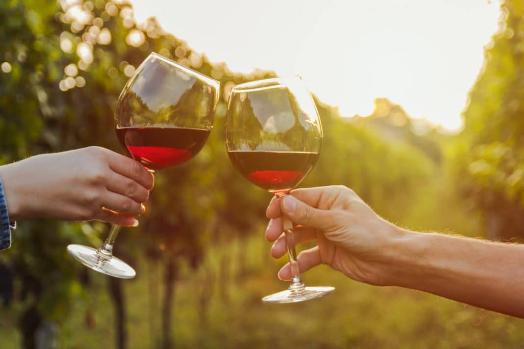 two people's hands are seen clinking glasses of red wine in a vineyard