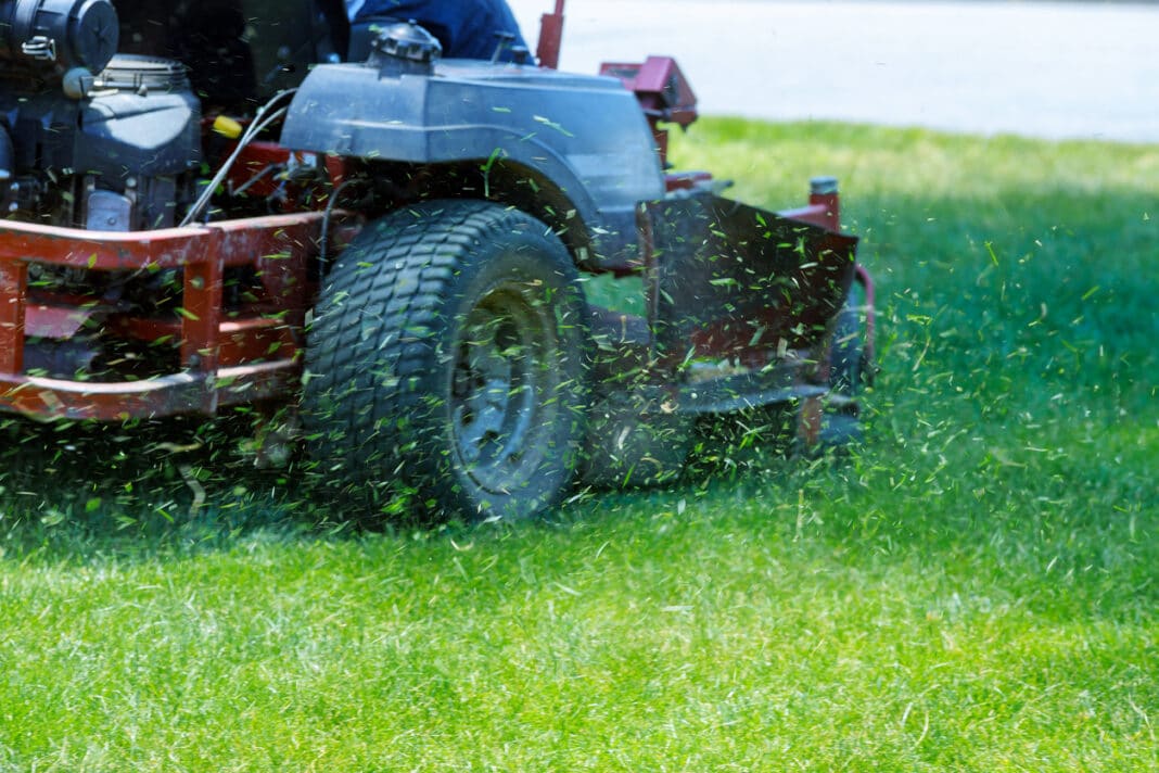 liberals call for mowing plan in ACT