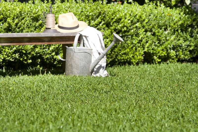 watering can, hat and gardening tools rest on bench in lush lawns bordered by hedge