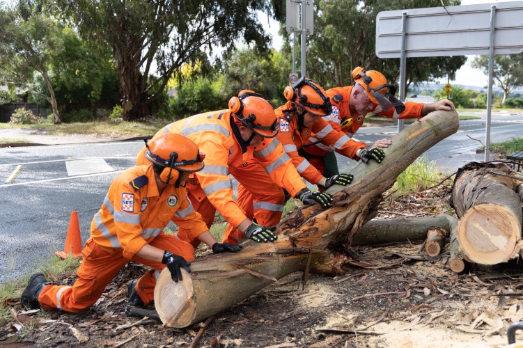 Four ACT SES personnel in orange safety gear removing a fallen tree from a Canberra street