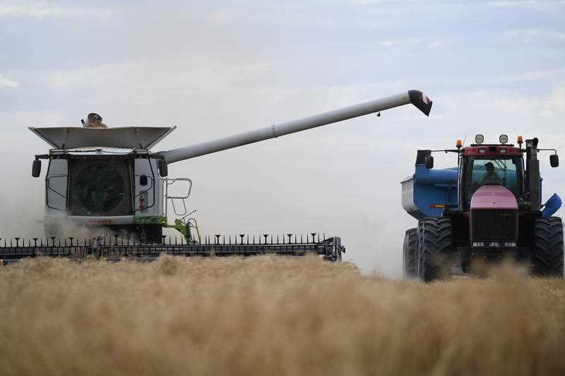 The wheat harvest gets under way on a property near Moree