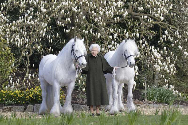 Britain's Queen Elizabeth II poses for a photo with her Fell ponies Bybeck Nightingale, right, and Bybeck Katie on the grounds of Windsor Castle