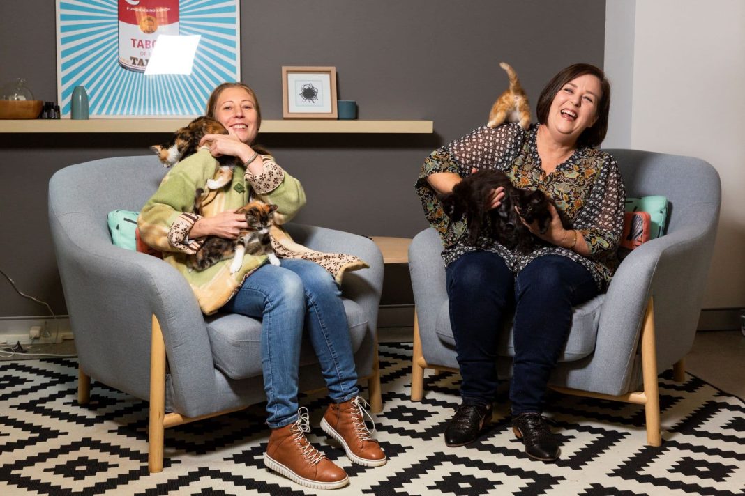 Two women with several cats in a comfortable lounge room