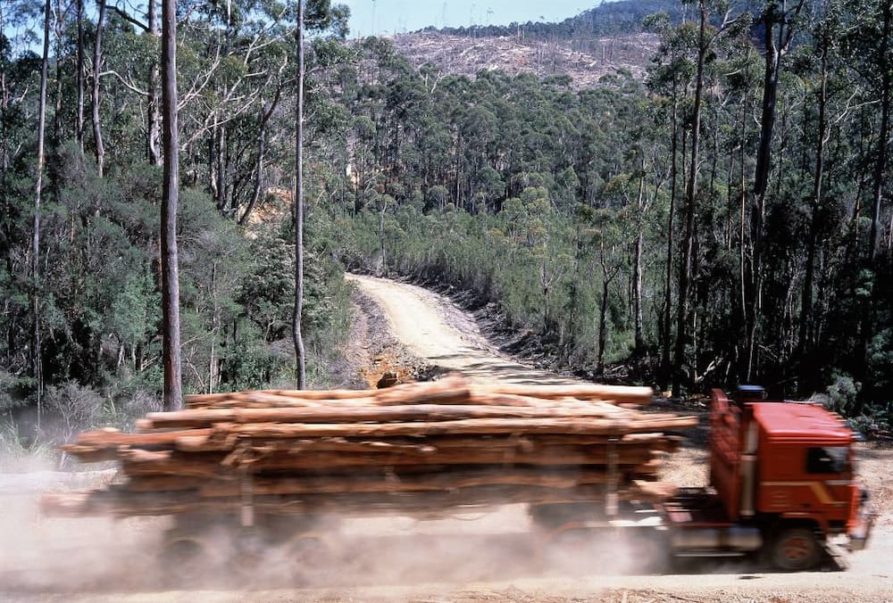 Logging truck and clear cut forest in Tasmania