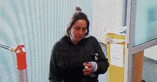 snapshot of missing 33 year old Queanbeyan woman Ashley Williams