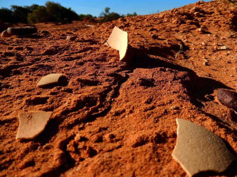 prehistoric shell fragments linked by researchers to the extinct Thunder Bird, Genyornis, discovered in Wood Point, South Australia.